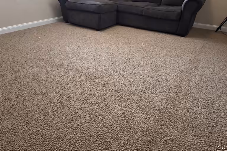Carpet Cleaning landscape