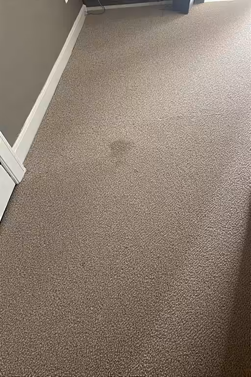 Carpet Cleaning portrait 2