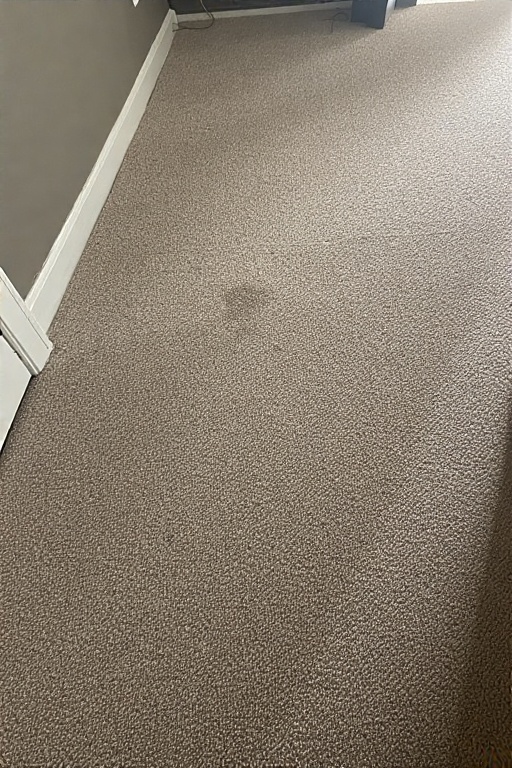 Carpet Cleaning portrait 2 Carpet Cleaning portrait 2